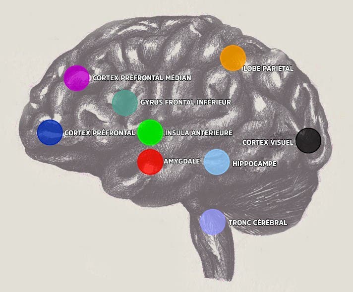 sommeil-infographique