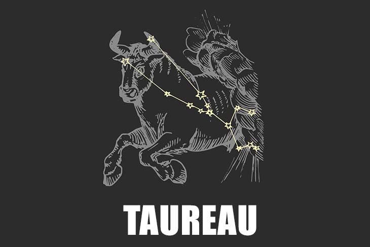 taureau