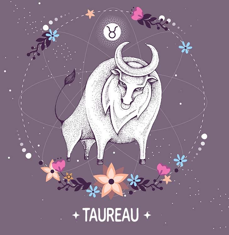 Taureau 