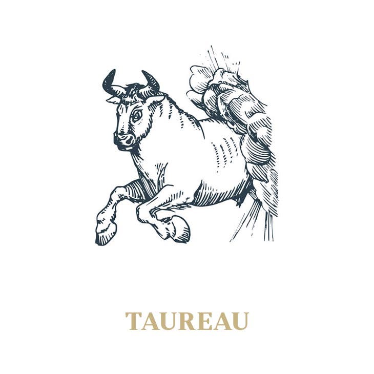 Le signe du taureau 