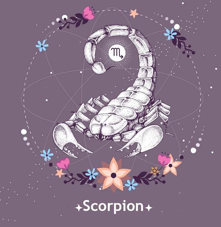 Scorpion 